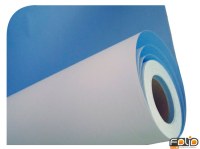 Affiche Dos Bleu